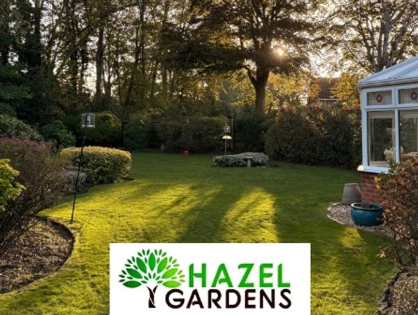 Sunset over a garden in the New Forest