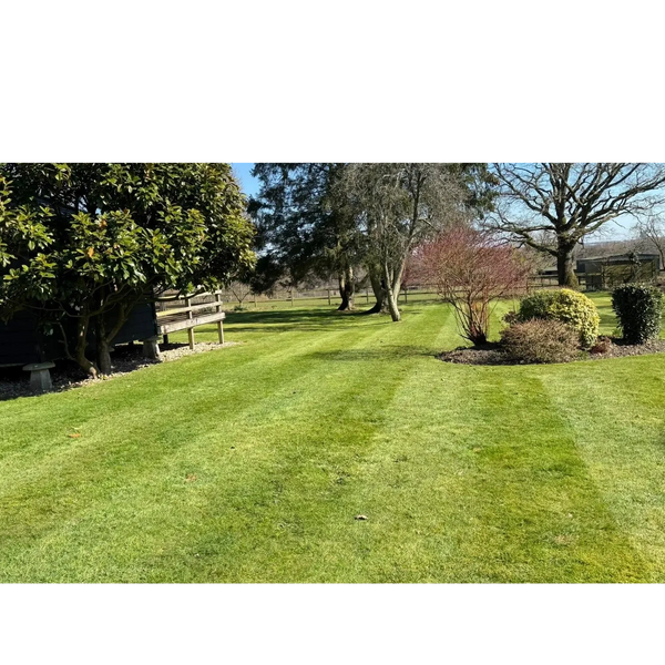 Striped, Mowed Lawns