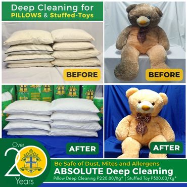 Pillow and Stuffed Toy Deep Cleaning