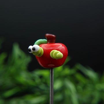 Apple With Little Green Worm