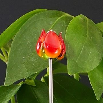 Plant Stake - Flower - Tulip