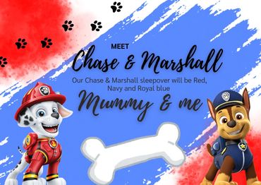 A paw patrol inspired sleepover party designed by Tantrums and Tiaras.