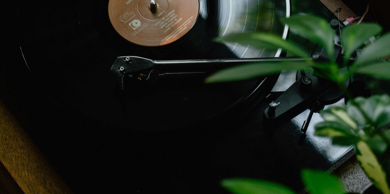 Close-up of a vinyl record player with green plants nearby.