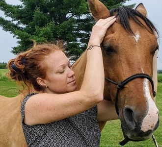 Ostéopathie vétérinaire cranienne sur un cheval détendu