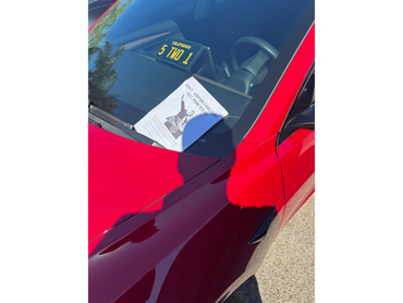 Elon Musk nazi salute sell your Tesla