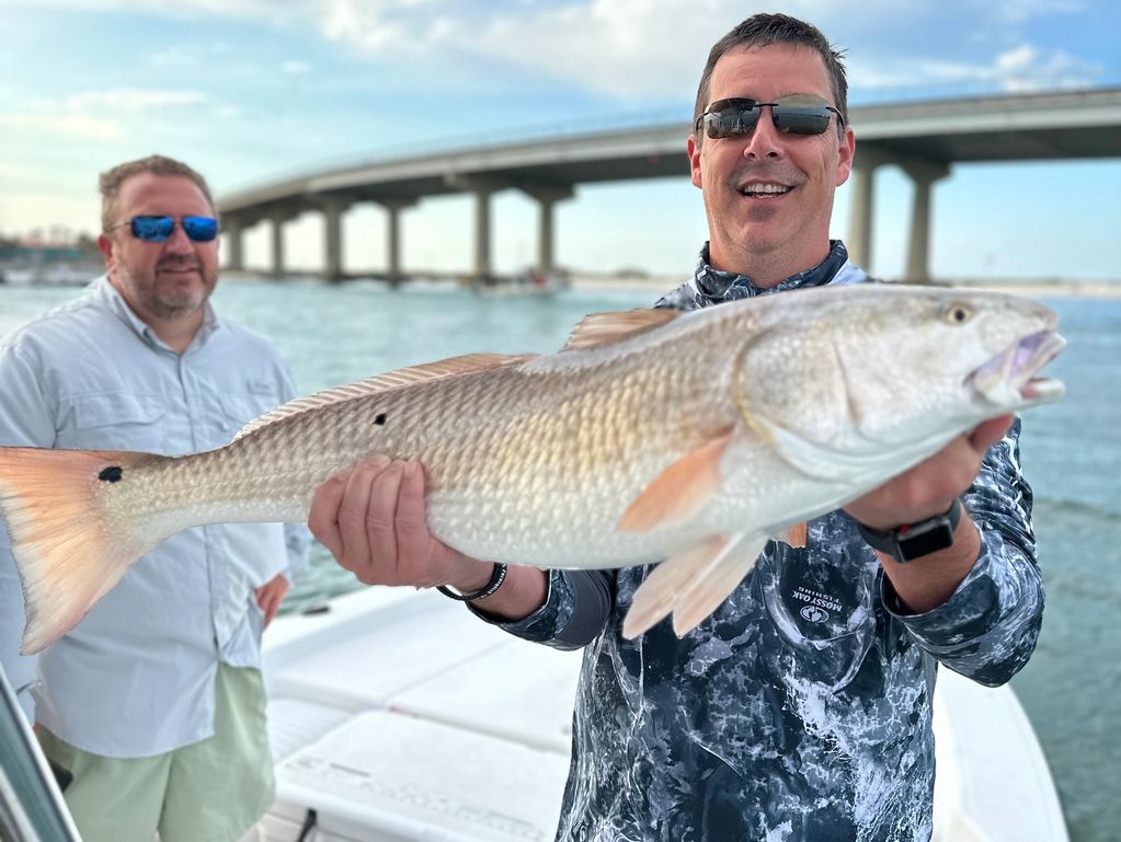 Redfish