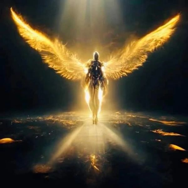 what you look like after you bring in twelve higher selves and the encodement of cosmic ray light