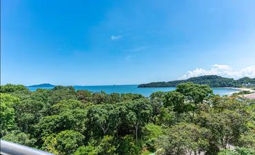 Lush green forest with a calm blue sea and clear sky in the background.