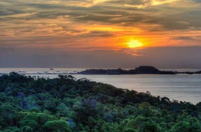 Sunset over a green forest and calm sea with distant islands.