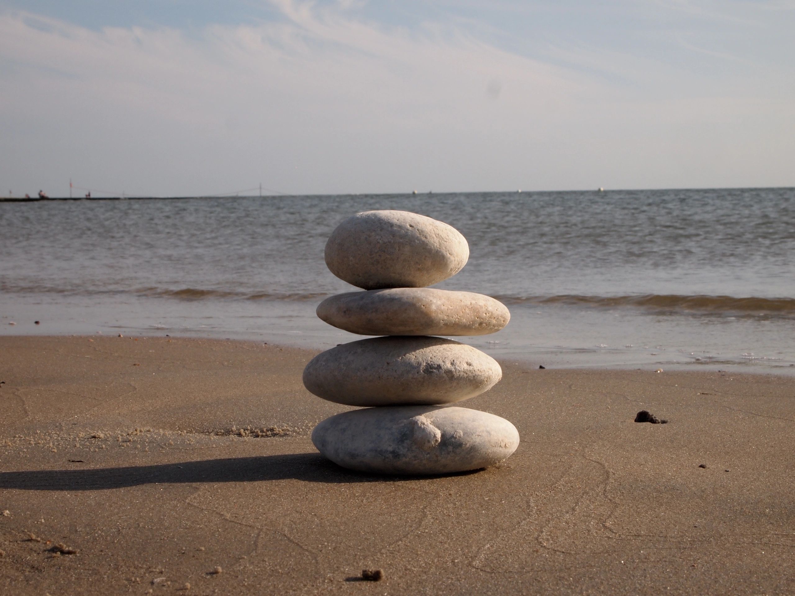 the Menopause Doctors