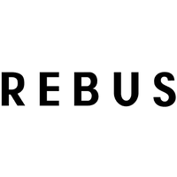 REBUS Consulting