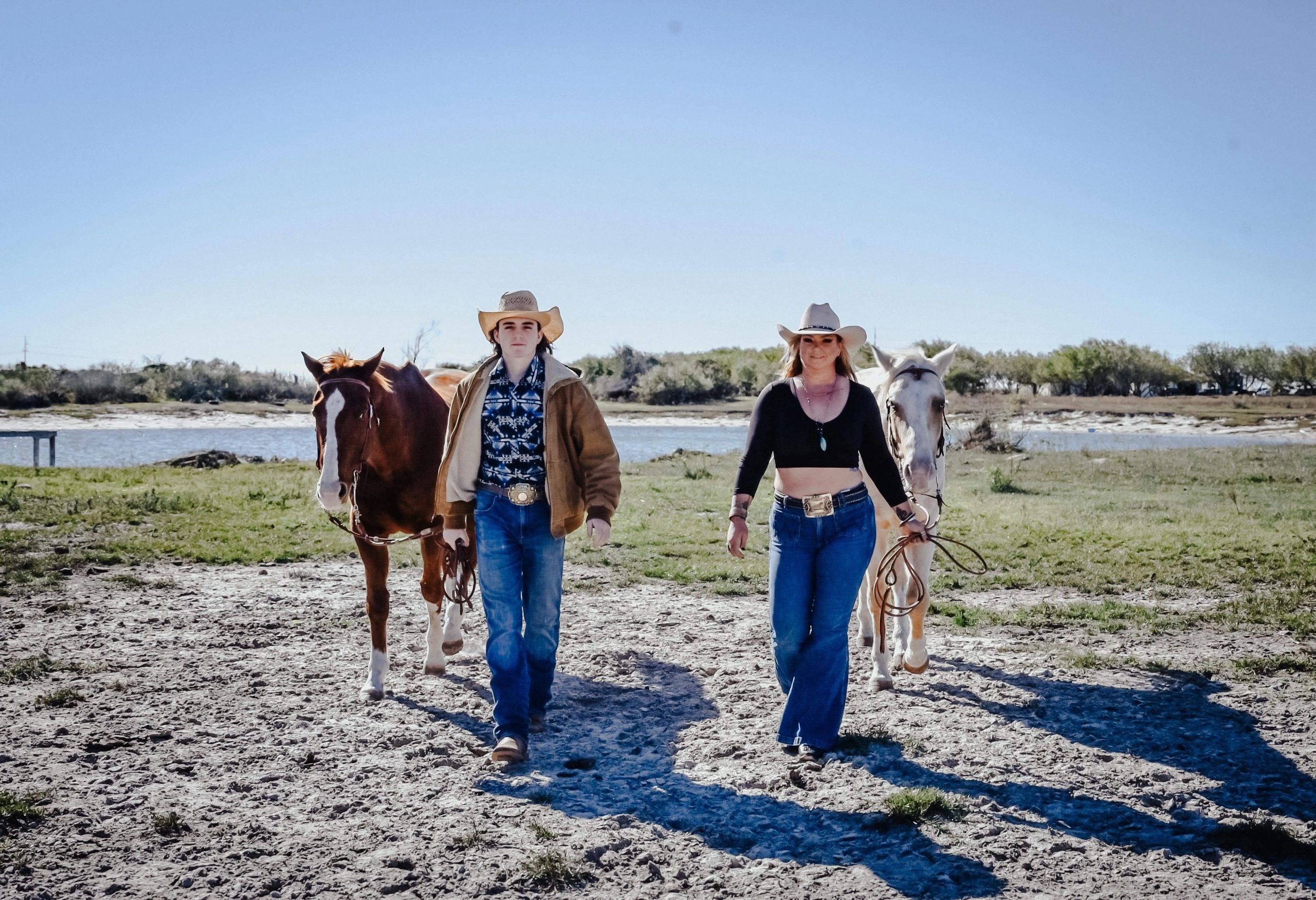 Horses in corpus christi
