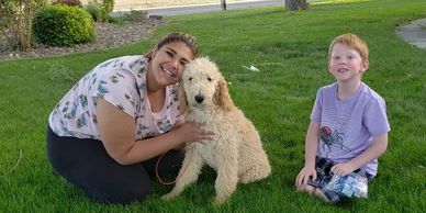 sweet puppy, standard poodle puppy