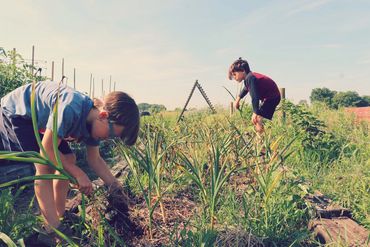 Humble hive Consulting offers permaculture design and garden planning services in Southwest Ohio.