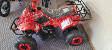 110CC 2X4 ATV KID'S  SIZE