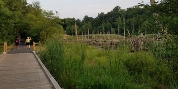 WB&A Trail Patuxent Extension