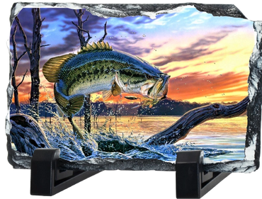 Bass Jumping on Slate