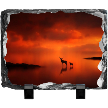 Deer in Field on Slate