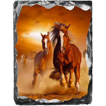 Horses on Slate