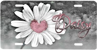 Customized License Plates