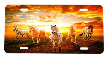 Horse License Plate