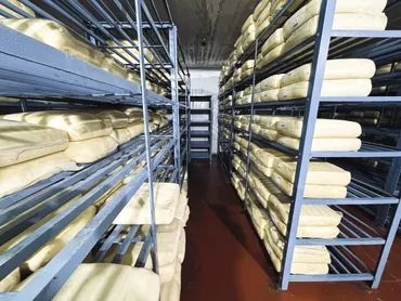 Rows of shelves filled with large cheese wheels aging in a storage room.