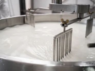 A metal rake-like tool stirring thick white liquid in a large container.