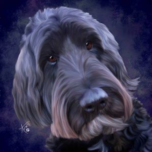 Doodle dog painting commissioned from Colorado. 