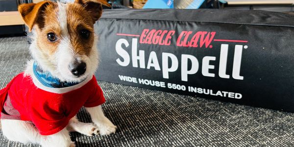 Granby Bait and Tackle Brady Wettlaufer Tackle Shop Dog