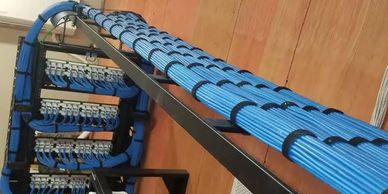 Organized blue network cables bundled and secured on a rack.