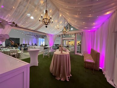 Pink uplighting for event
