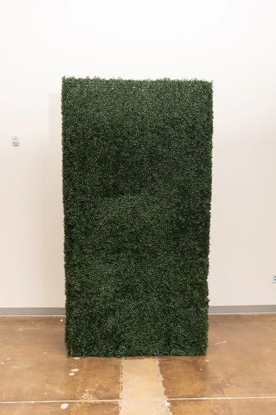 8 foot tall boxwood hedge wall