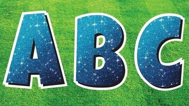 Ocala Yard Cards Greetings signs happy birthday