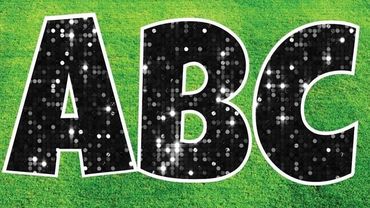 Ocala Yard Cards Greetings signs happy birthday