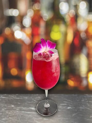 Bitter Old Queen Craft Cocktail