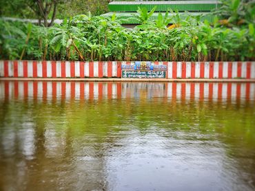 Ramanuja Pushkarni