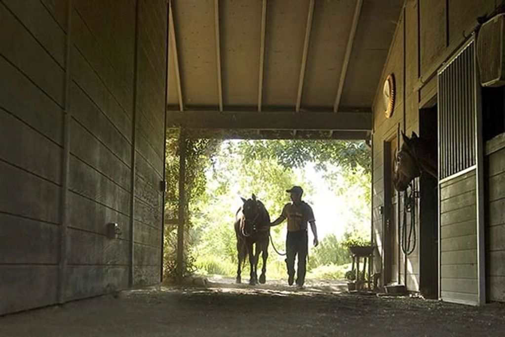 Person walking with a horse under a stable roof.