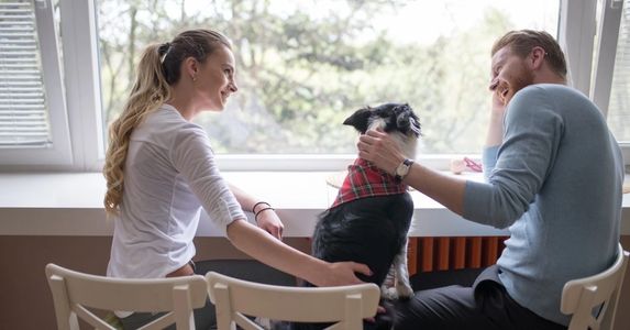 Two people meeting a dog