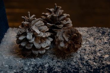 Three pine cones dusted with snow on a dark surface.