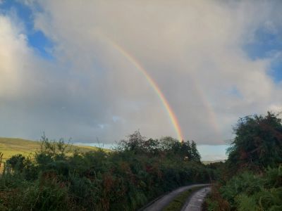 A vibrant double rainbow over countryside road and greenery.
