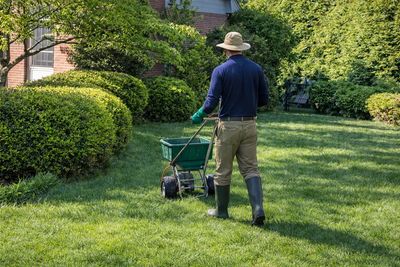 weed control, grub control, and pest control programs for healthy grass, safe backyards, and season-
