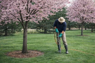 Technician performing deep root feeding near a blooming tree in a healthy lawn — part of Empire State’s nutrient-rich injection program for plant care, tree health, and shrub care, designed to promote vitality and maintain pest-free backyards free from fleas, ticks, and mosquitoes.