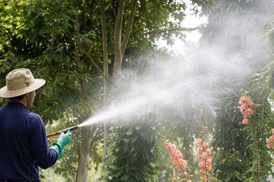 Technician applying preventive tree and shrub treatments with a hose in a lush backyard — part of Empire State’s organic tree care services and shrub health programs designed to maintain pest-free landscapes and protect against fleas, ticks, and mosquitoes.