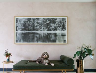 Stunning olive green Chaise in hallway