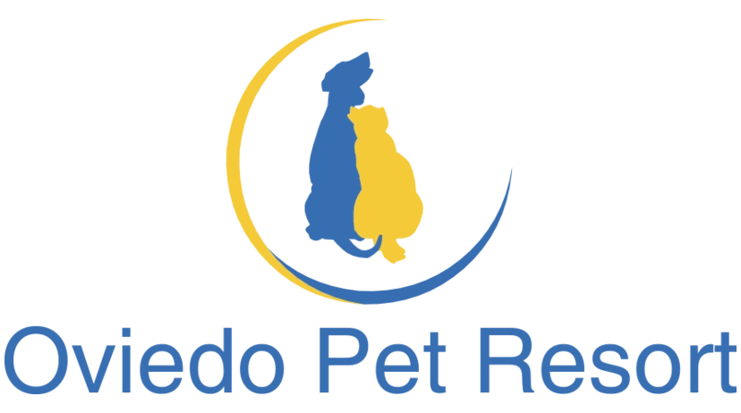 Luxury Apartment Rentals In Oviedo Fl