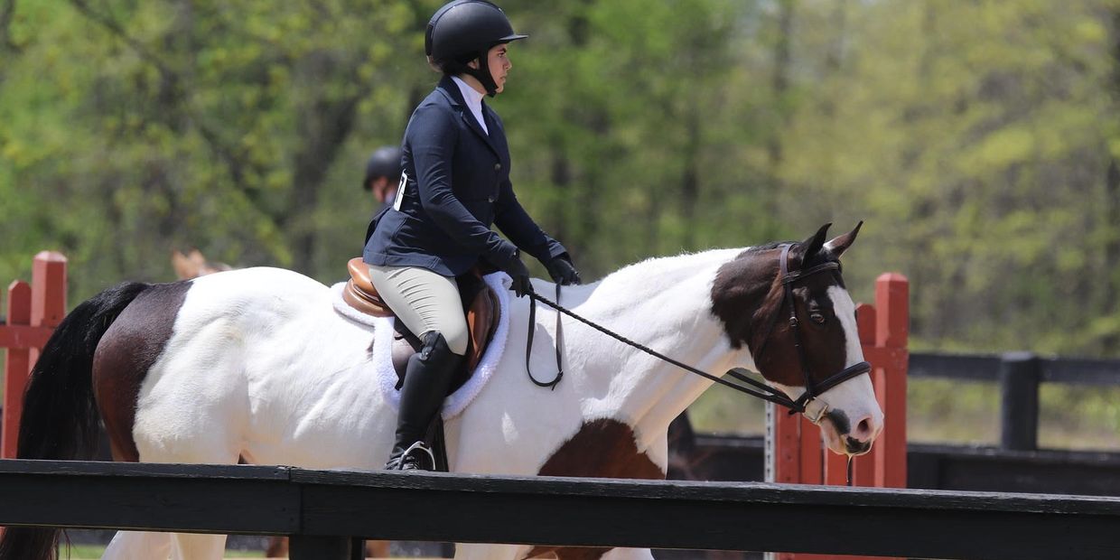 Person riding a piebald horse in an equestrian event.
