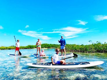 Paddle Eco Tour (stand up paddle board)