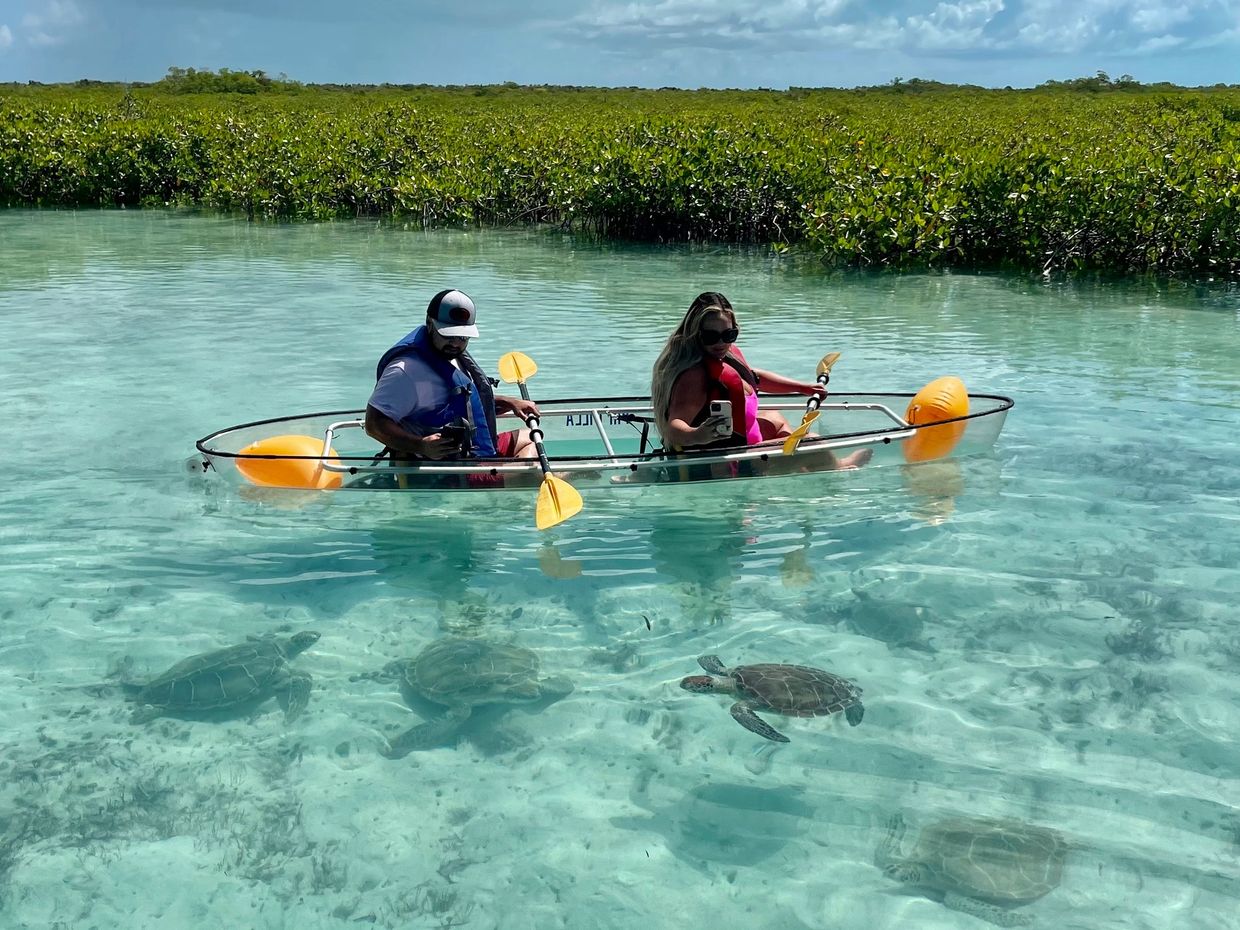 Clear Kayak tour to see the turtles.