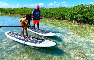 Paddle Eco Tour