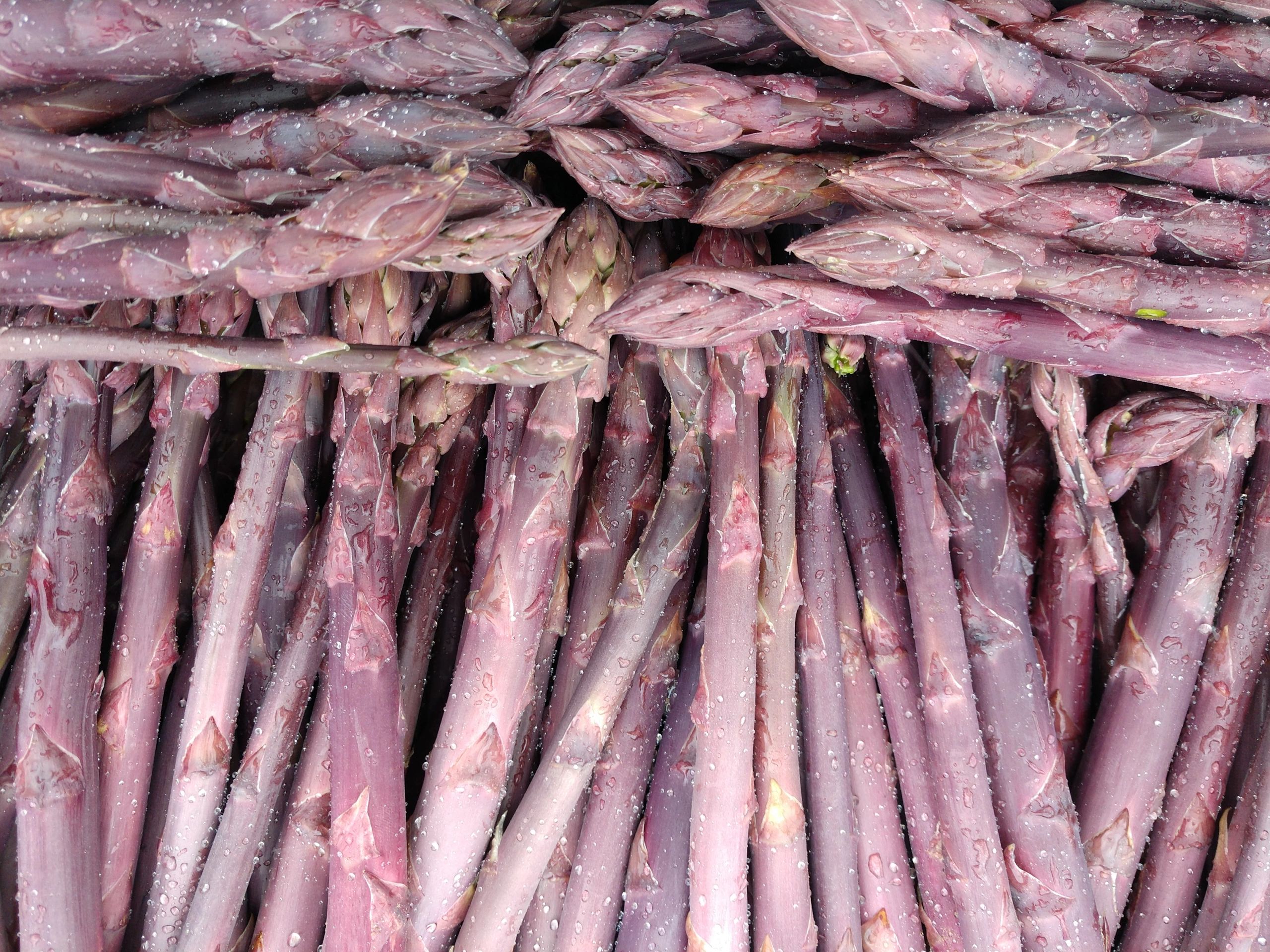 Fresh, Local, Organic and Diverse Produce!